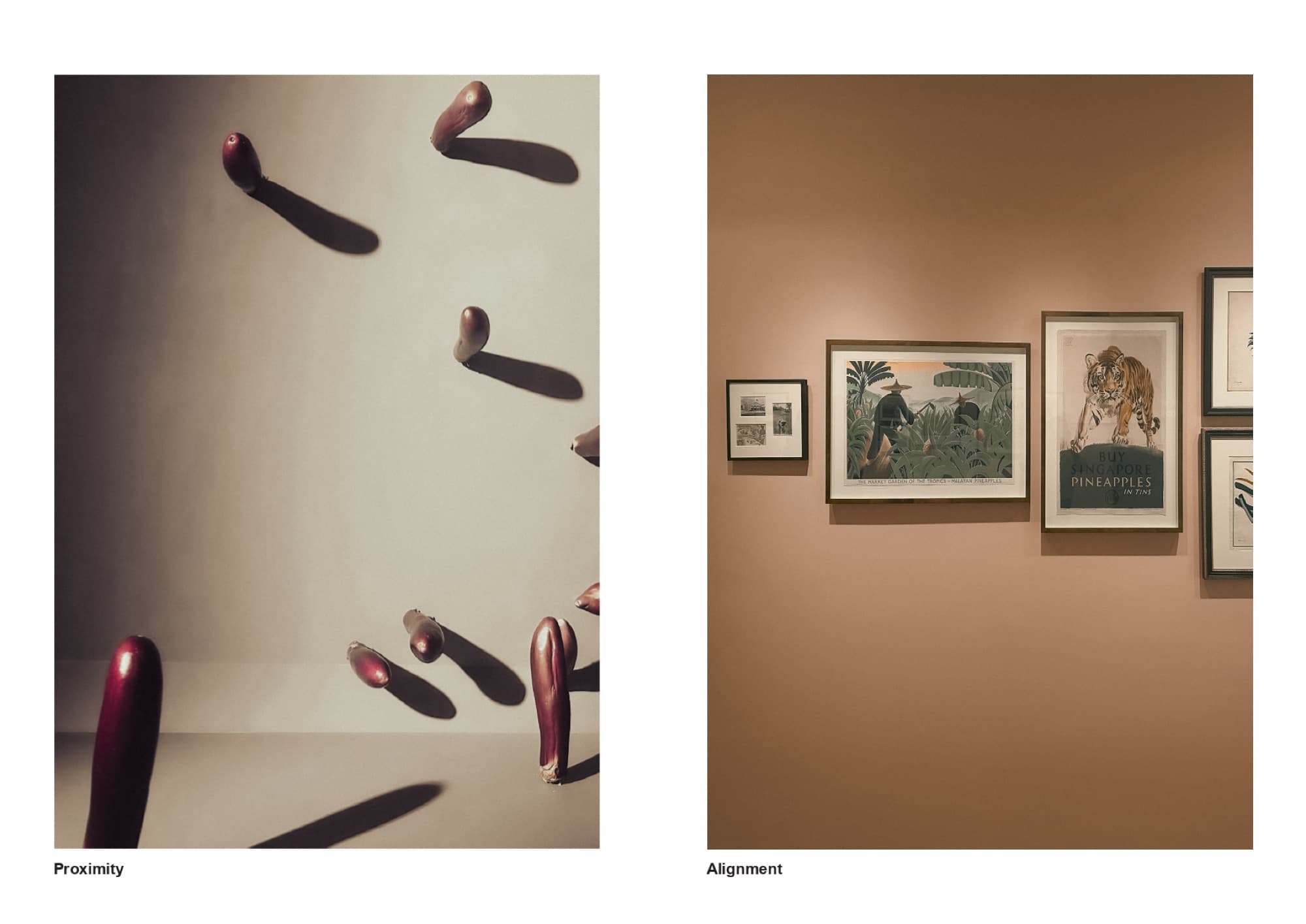Design-principle photo study